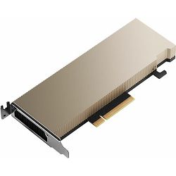 PNY NVIDIA Tesla A2, 16GB GDDR6 PCIe 4.0x8, TCSA2M-PB